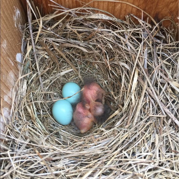 Profile Picture of Michael Abel (@63mabel) on Poshmark