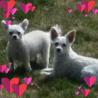 Profile Picture of Aimee Winslow (@aimee.winslow1) on Facebook