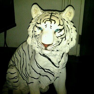 Profile Picture of Lucy Velez (@lucyvelez36) on Twitter