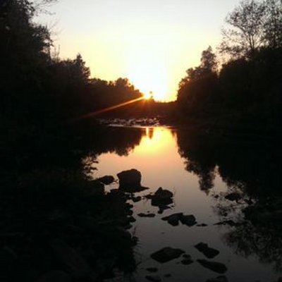 Profile Picture of David Bilotta (@quiet_pioneer) on Twitter