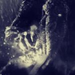 Profile Picture of matt Fernandez (@mattiecakes) on Instagram