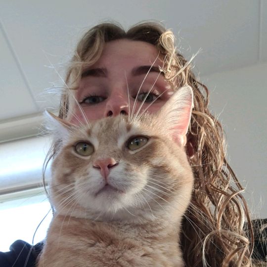 Profile Picture of Maureen (@maureen.dw) on Tiktok