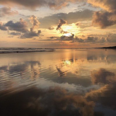 Profile Picture of Luke Friedman (@LukeFriedman2) on Twitter