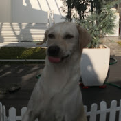 Profile Picture of Miss Coco (@cocogai) on Youtube