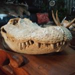 Profile Picture of Hunter-wiley (@hunterwiley5) on Instagram