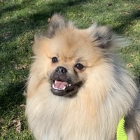 Profile Picture of Mike Charles (@mike-charles-91) on Quora