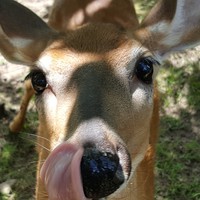 Profile Picture of Julie Buchkowski (@julie-buchkowski) on Quora