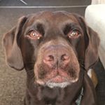 Profile Picture of Hannah Thatcher (@rolo_rules) on Instagram