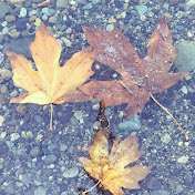 Profile Picture of Lisa Weese (@lisaweese6044) on Youtube