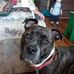 Profile Picture of Brittney Booth (@brittney.booth.146) on Facebook