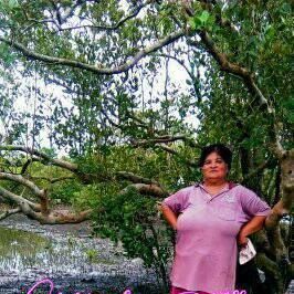 Profile Picture of Marilyn SegarraCalvelo Albino (@marilyn.albino.9) on Facebook