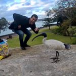 Profile Picture of Michael Ayad (@michaelayad) on Instagram