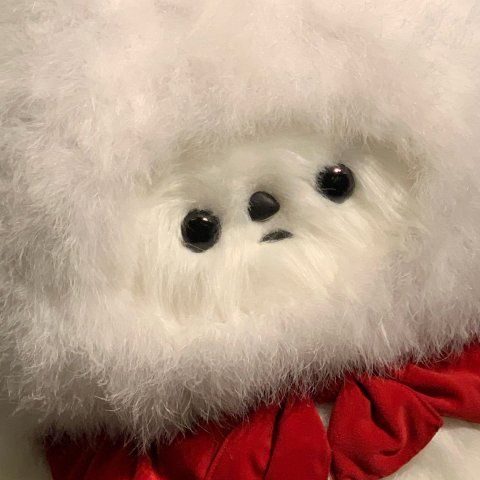 Profile Picture of sherriesuh (@sherriesberrie) on Tiktok
