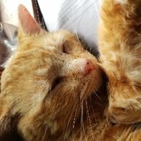 Profile Picture of Isaac Tyson (@isaac-tyson-4) on Quora