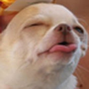 Profile Picture of Vianca Martinez (@viancamartinez8602) on Youtube