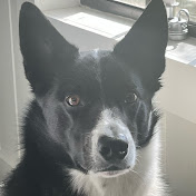 Profile Picture of John Causey (@johncausey5344) on Youtube