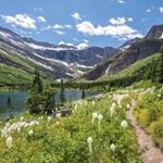 Shawn Arvay - Instagram Profile Picture of Shawn Arvay (@shawn_arvayo) on Instagram