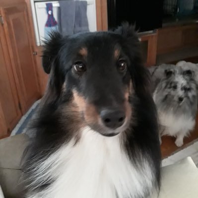 Steven Burgoon - Twitter Profile Picture of Steven Burgoon (@BurgoonSteven) on Twitter