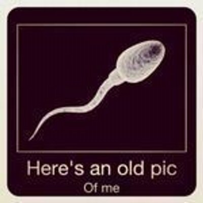 Profile Picture of Ms. Shanel Johnson S (@@MsGibson__Steph) on Twitter