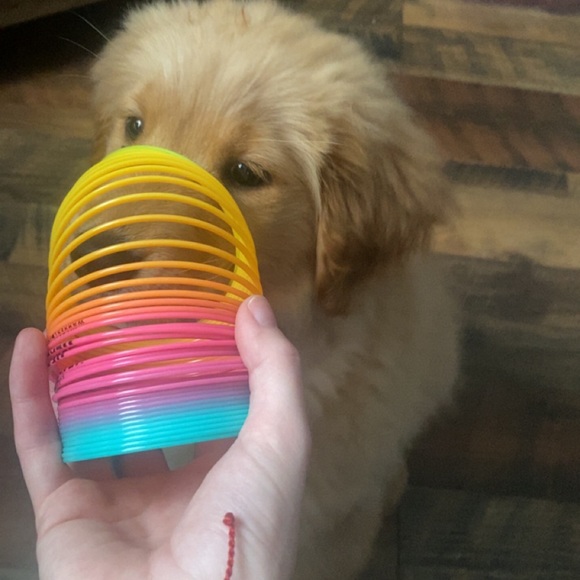 Profile Picture of Kelsey Mccane (@kelseyaamc) on Poshmark