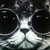 Profile Picture of Lam Ip (@ip55509) on Twitter