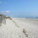 Profile Picture of Lisa Weeter (@laweeter) on Pinterest