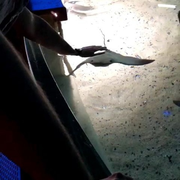 Profile Picture of Sebastian White (@sebastianwhi758) on Poshmark