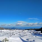 Profile Picture of Jessica Zappalà (@_jessica.jess_) on Instagram