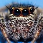 Profile Picture of Macro Bergère Anne-So (@macrobergere) on Instagram