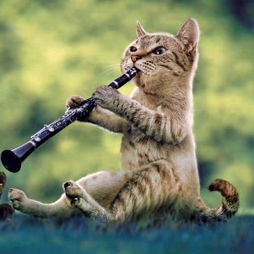 Profile Picture of Ovidio Adrian Choque (@OvidioAdrianCho) on Twitter