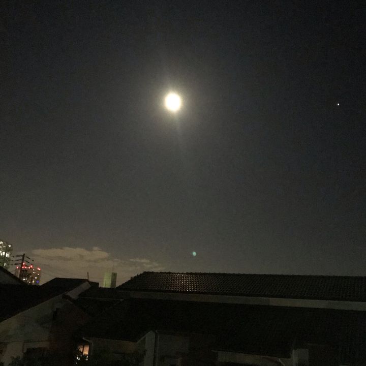 Profile Picture of JOSEPH (@@nikotanmaru) on Tiktok