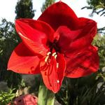 Profile Picture of Gloria Quichel (@gloriaquichel) on Instagram