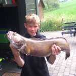 Profile Picture of Steven Thiele (@steven.tjhiele) on Instagram