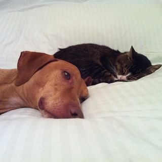 Profile Picture of Virginia Evers (@Virginia-Evers) on Facebook