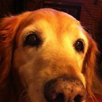 Profile Picture of Kim Judd (@kim-judd-5) on Quora