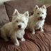 Profile Picture of Carole Caz Sample (@carole.sample.129) on Facebook