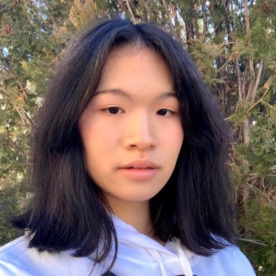 Profile Picture of Jasmine Summers (@Nintedhoegirl1) on Twitter