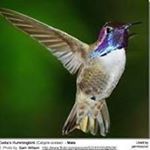 Profile Picture of Sandra Edison (@sandra.edison) on Instagram