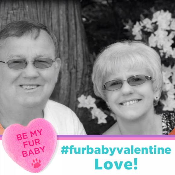 Profile Picture of Linda Donaca (@donaca) on Poshmark