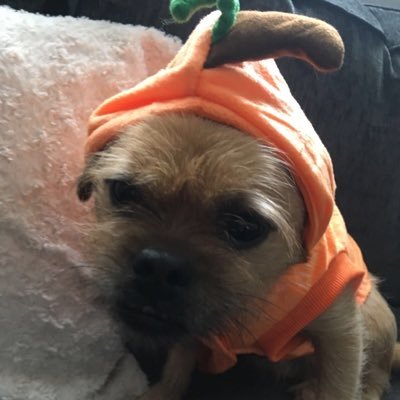 Profile Picture of Daniel Veasey (@Vizwa5) on Twitter