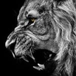 Profile Picture of Rogelio Quintanilla (@rogelio.quintanilla.779) on Instagram