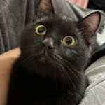 Profile Picture of Jason Espejo (@espejojason) on Instagram