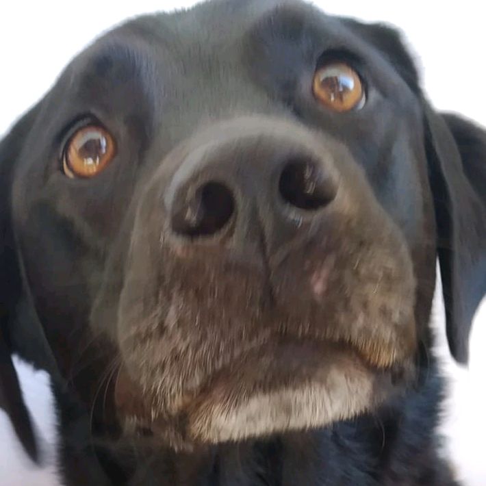 Profile Picture of Toby (@toby_tobias_) on Tiktok