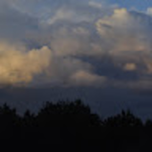 Profile Picture of Gisselle Rivas (@gissellerivas6) on Poshmark