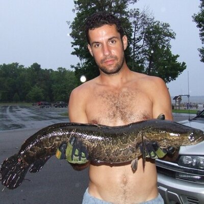 Profile Picture of Tony Prisco (@tonyprisco13) on Twitter