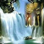 Profile Picture of Olfa Ouechtati (@olfaouechtati) on Instagram