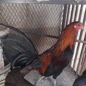 Profile Picture of Jesus Miguel Iturralde Muñoz (@jesusmigueliturraldemunoz8714) on Youtube