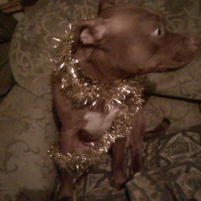 Nick Bamford - Twitter Profile Picture of Nick Bamford (@NickBamford1) on Twitter