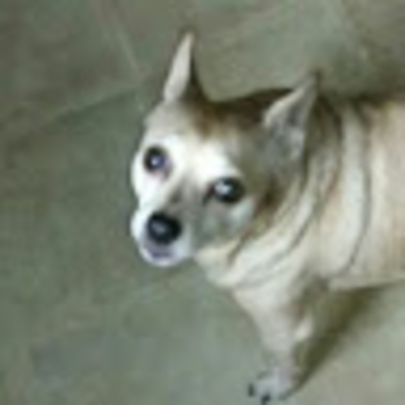 Profile Picture of Jim Privett (@hershelljames50) on Poshmark