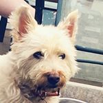 Profile Picture of Bobby_taylor0786 (@bobby_taylor0786) on Instagram